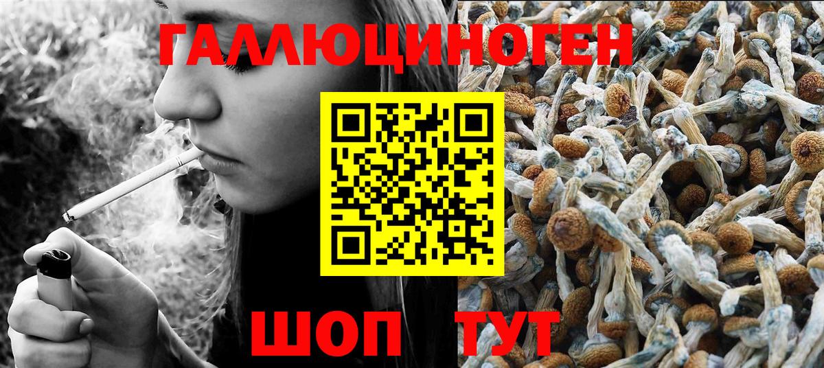 Вятские Поляны  Галлюциногенные грибы мухоморы  Вход с VPN  Галлюциногенные грибы мицелий 